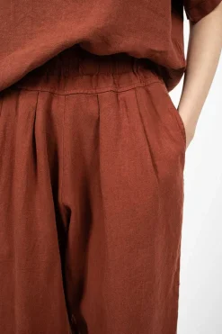 Carpenter Pants Brick