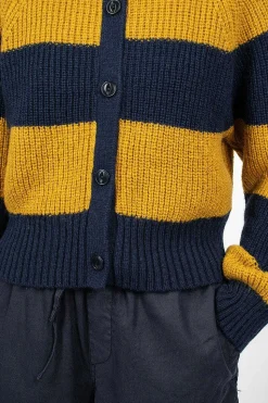 Foxtail Cardigan Navy/Yellow