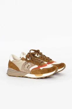 Roland Jogger Brown