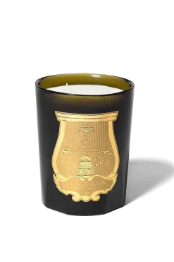 Solis Rex 800G Candle